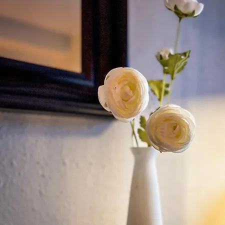 Haus Meerten Apartmán *